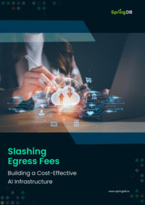 Slashing-egress-fees-guide