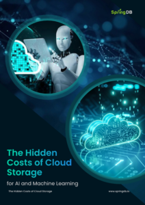 The Hidden costs of cloud storage ebook cover