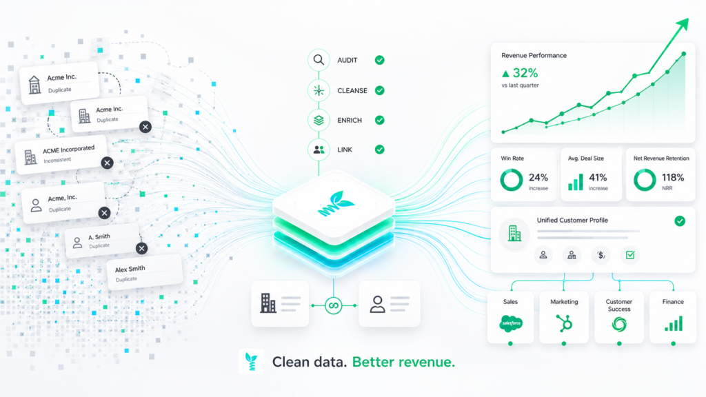 data quality revenue growth